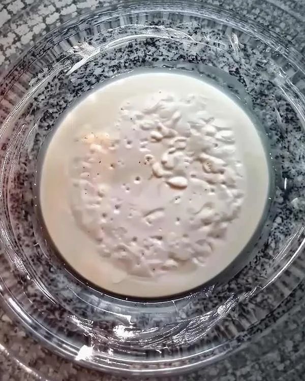 Gluten Free Sourdough Starter