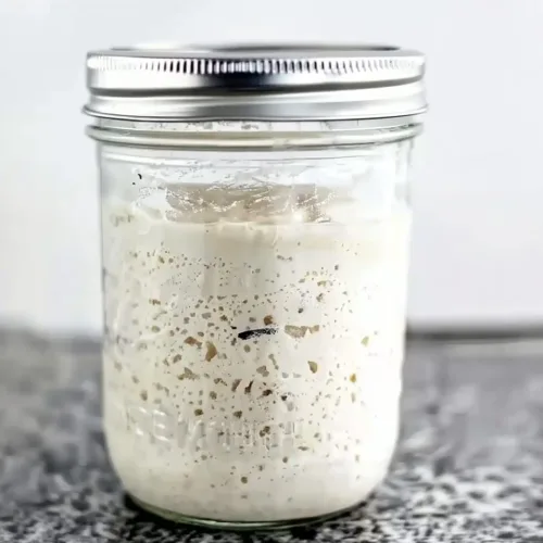 how to make a gluten-free sourdough starter