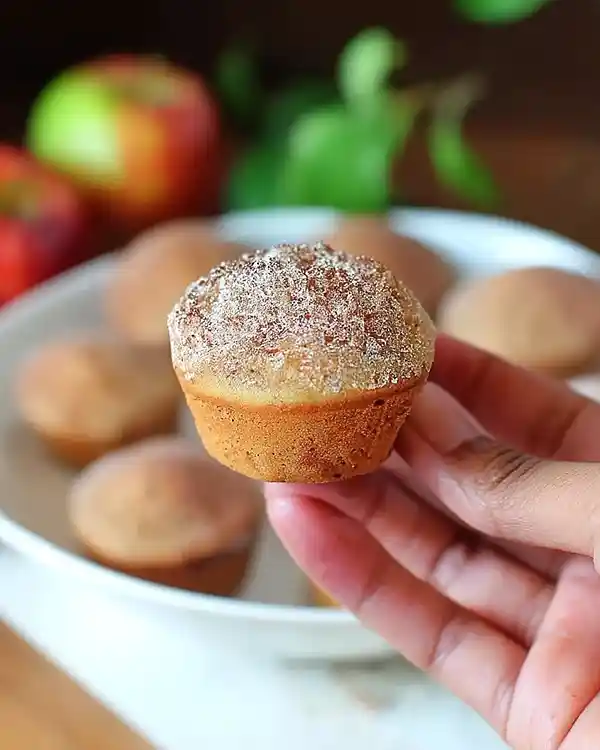 Gluten Free Dairy Free Muffins Easy